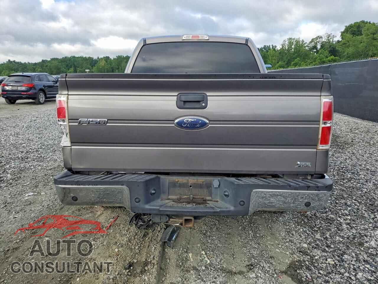 FORD F150 2010 - 1FTFW1CV8AFB90957