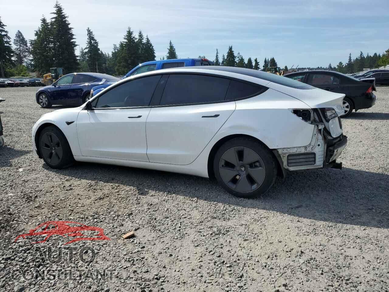 TESLA MODEL 3 2021 - 5YJ3E1EA1MF871521