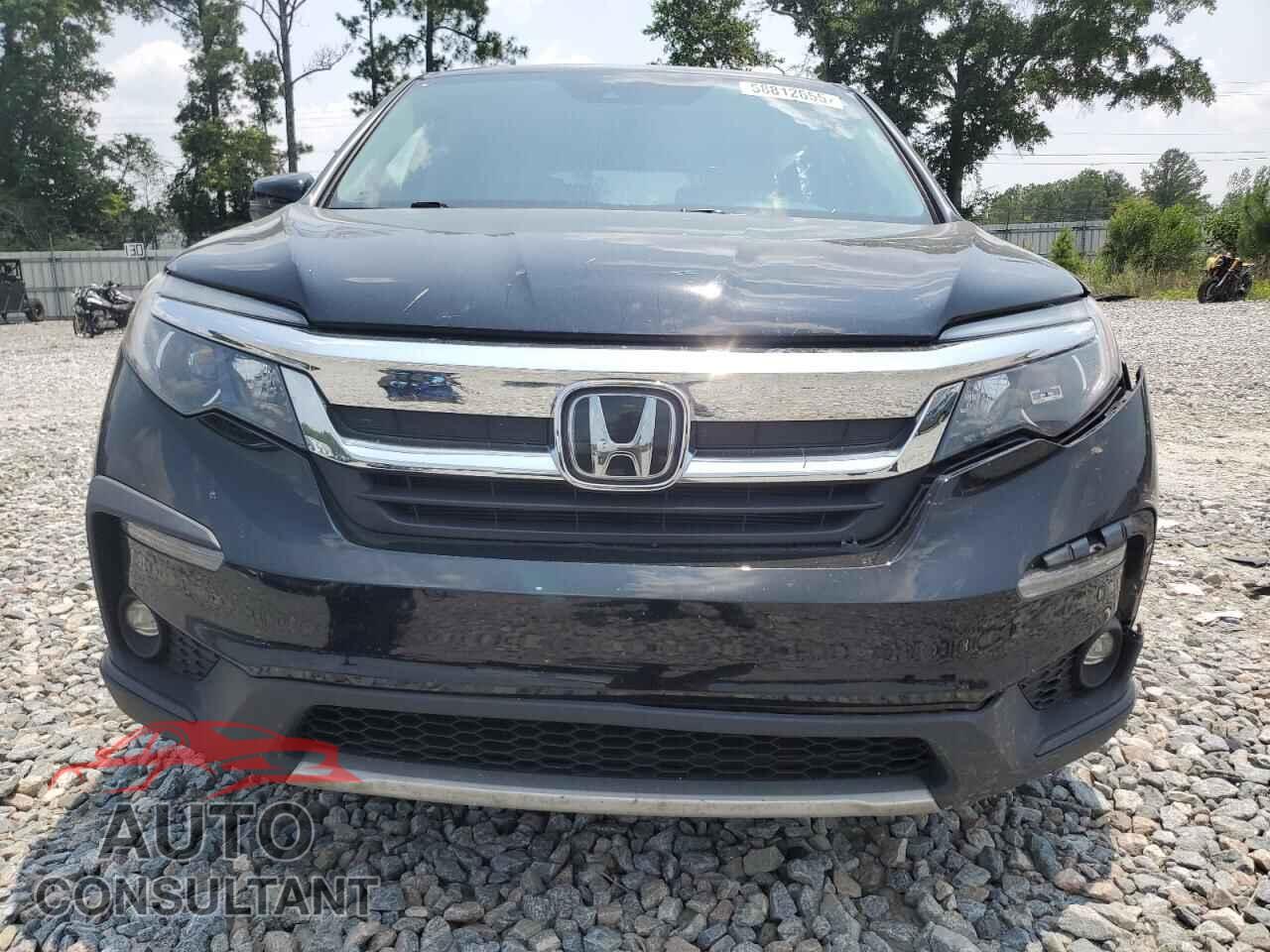 HONDA PILOT 2019 - 5FNYF5H59KB016443