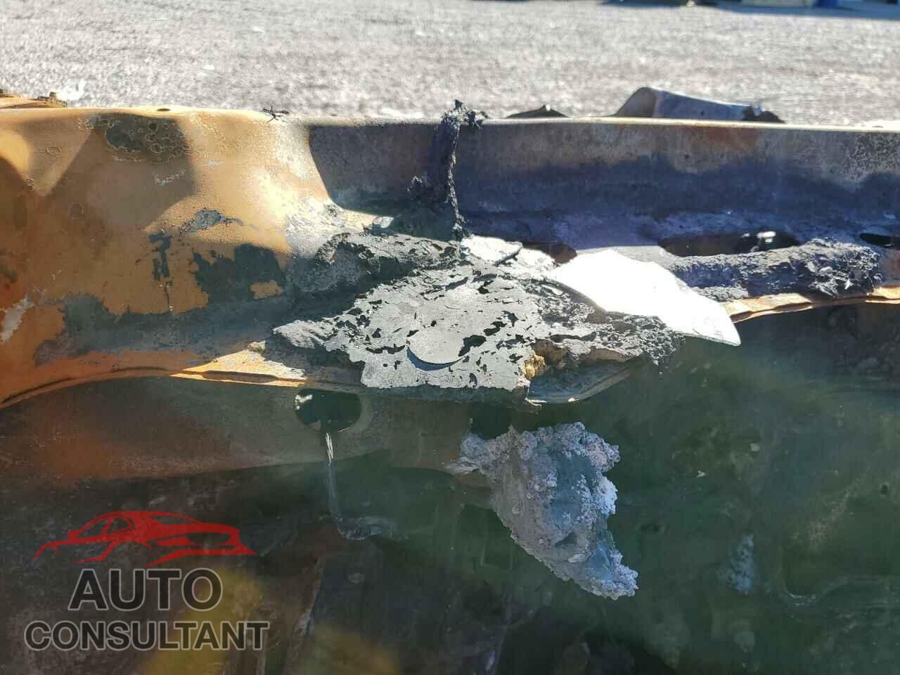 HONDA PILOT 2019 - 5FNYF6H5XKB050607