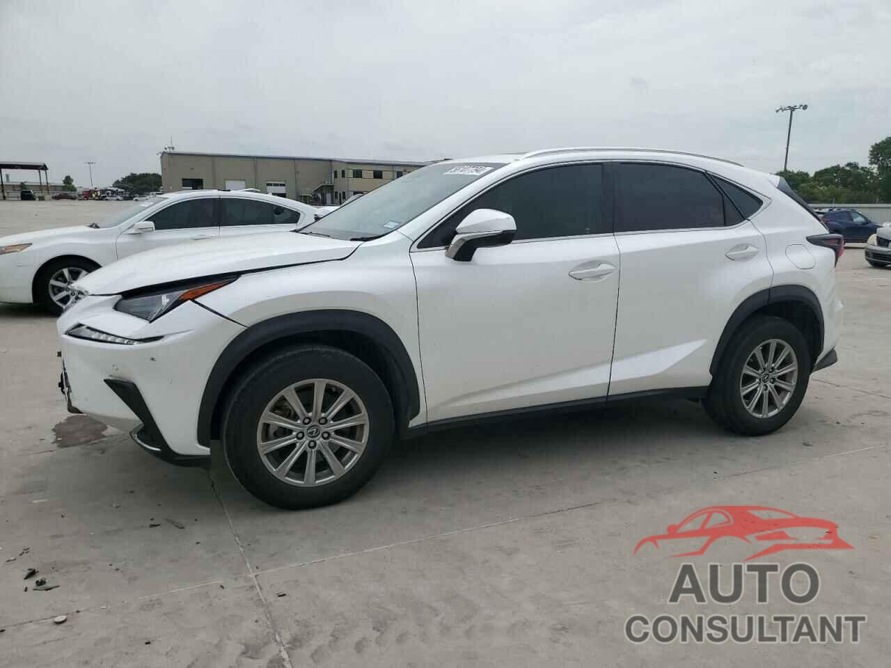 LEXUS NX 2019 - JTJYARBZ4K2155445