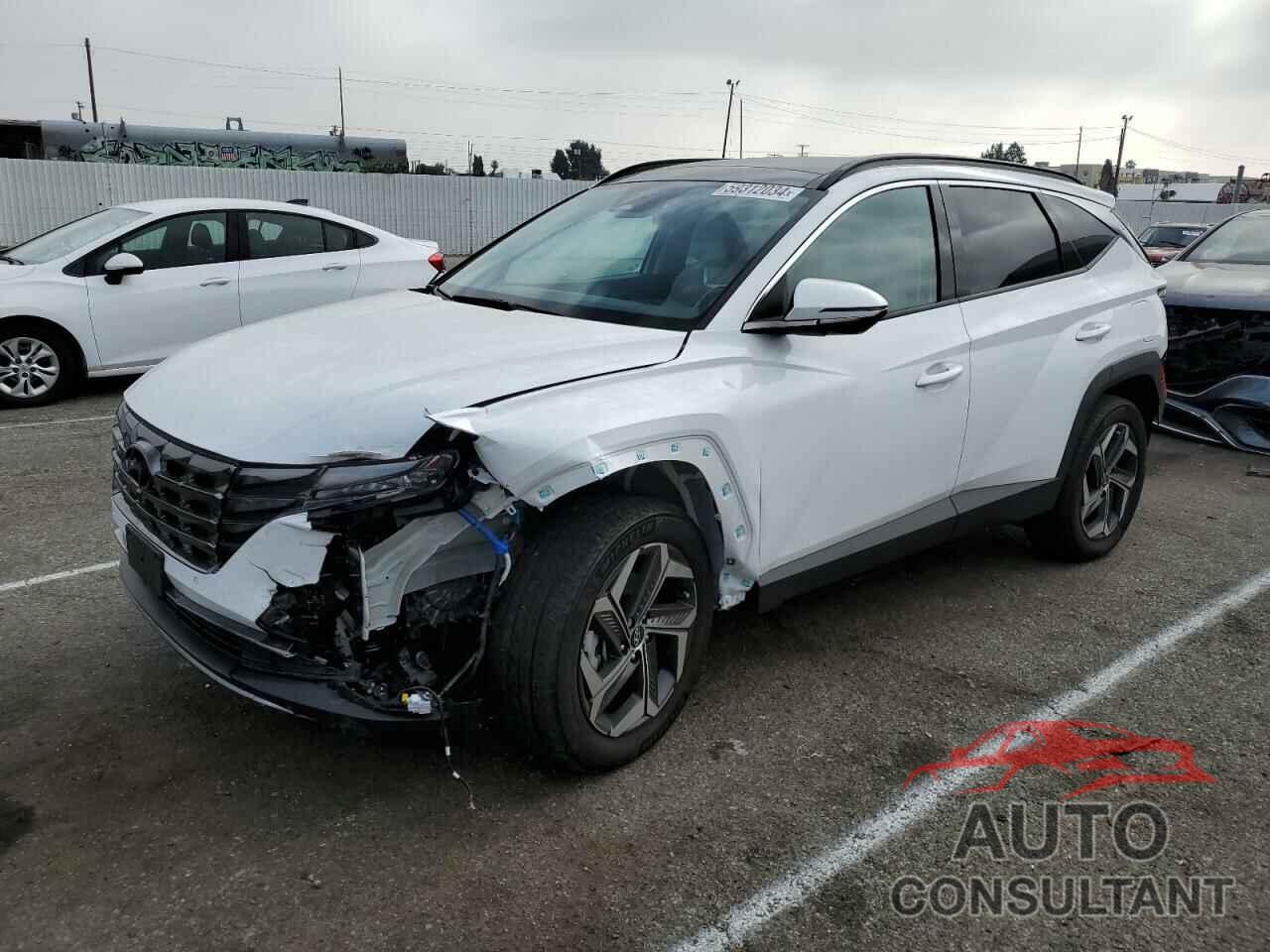 HYUNDAI TUCSON 2023 - KM8JECA12PU106060