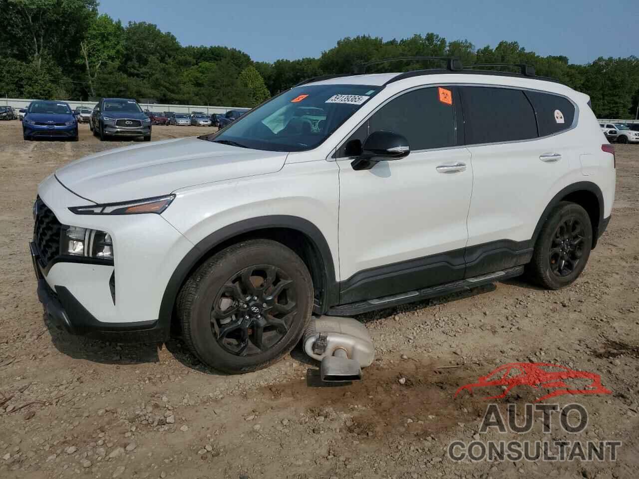 HYUNDAI SANTA FE 2022 - 5NMS64AJ0NH387811