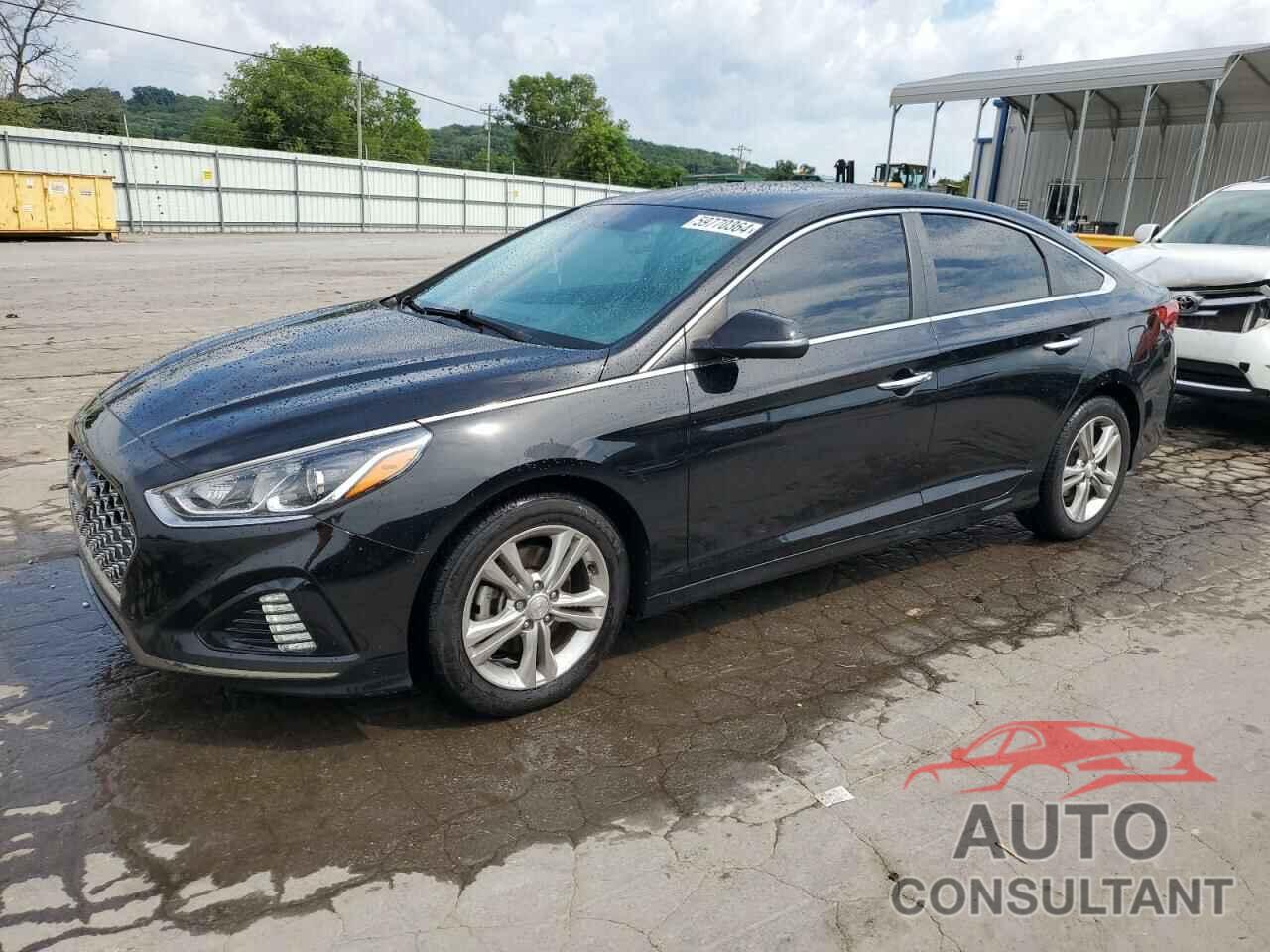 HYUNDAI SONATA 2019 - 5NPE34AF8KH791472