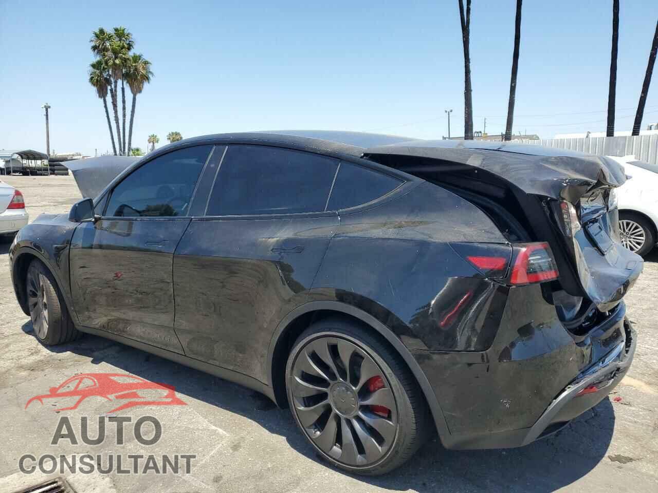 TESLA MODEL Y 2024 - 7SAYGDEF6RF081011