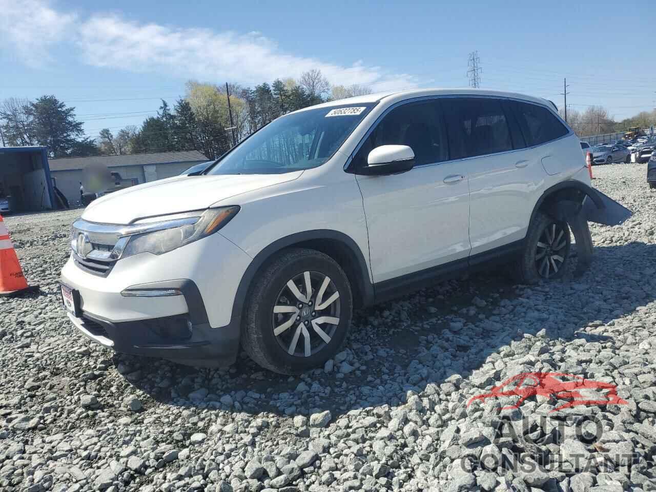 HONDA PILOT 2019 - 5FNYF6H33KB064671