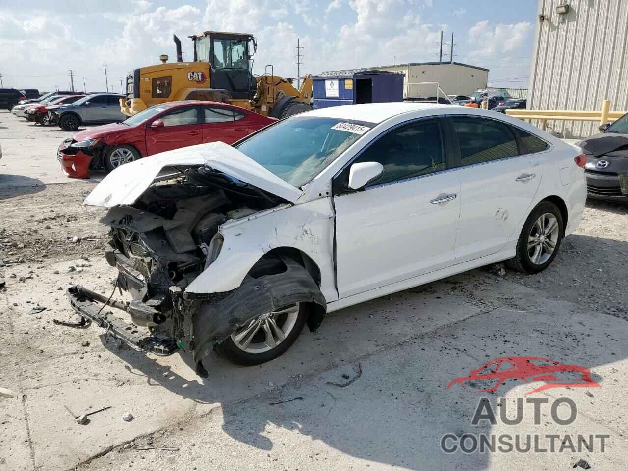 HYUNDAI SONATA 2019 - 5NPE34AF0KH764265