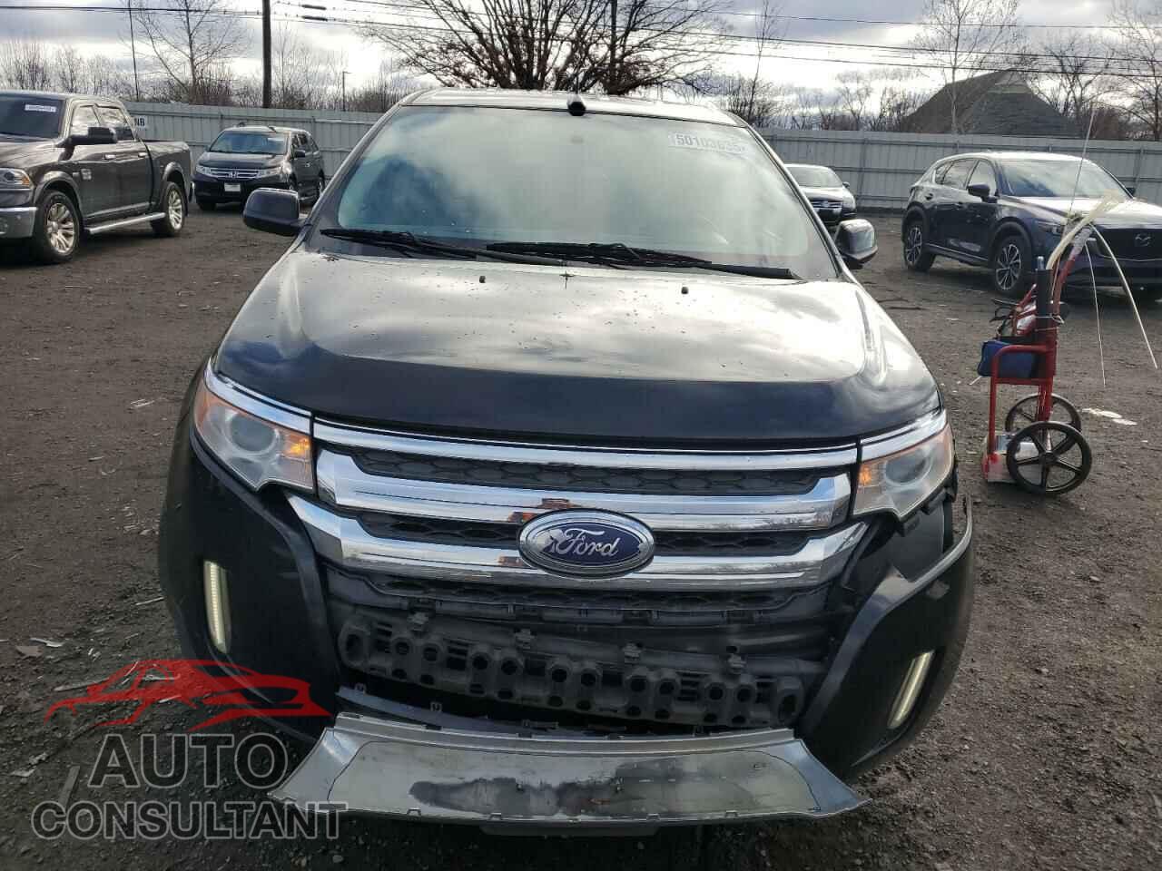 FORD EDGE 2014 - 2FMDK4KC4EBA50864