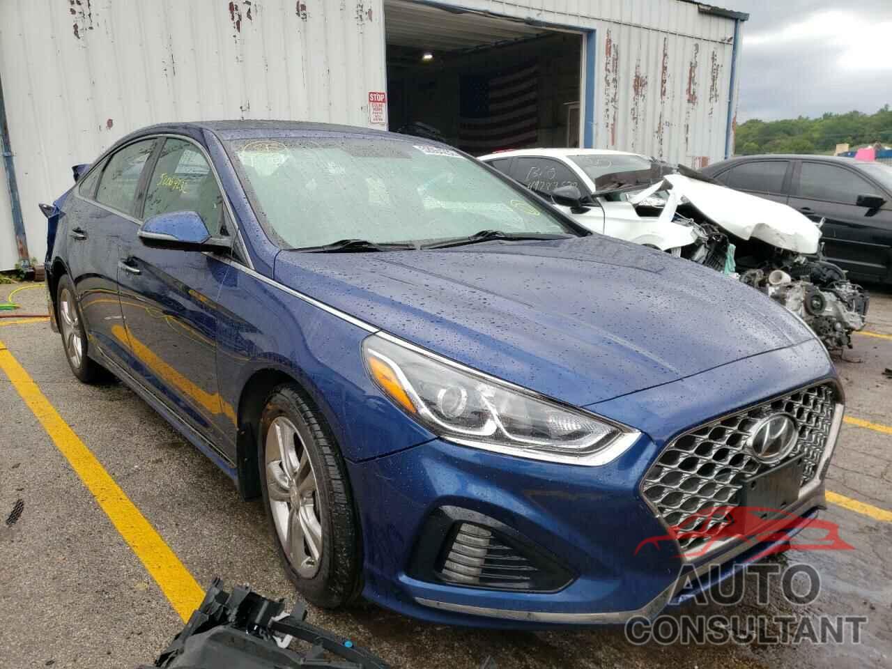 HYUNDAI SONATA 2019 - 5NPE34AF7KH806172