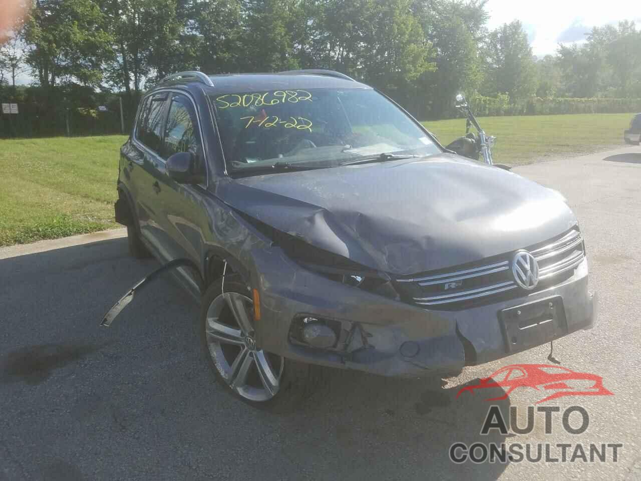 VOLKSWAGEN TIGUAN 2016 - WVGBV7AX1GW053887