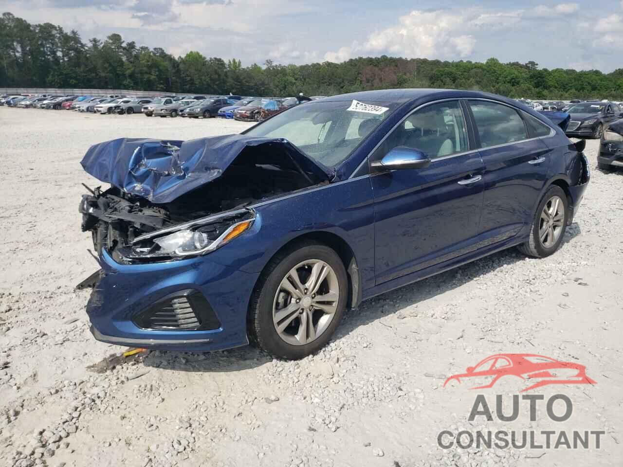 HYUNDAI SONATA 2019 - 5NPE34AF4KH793560