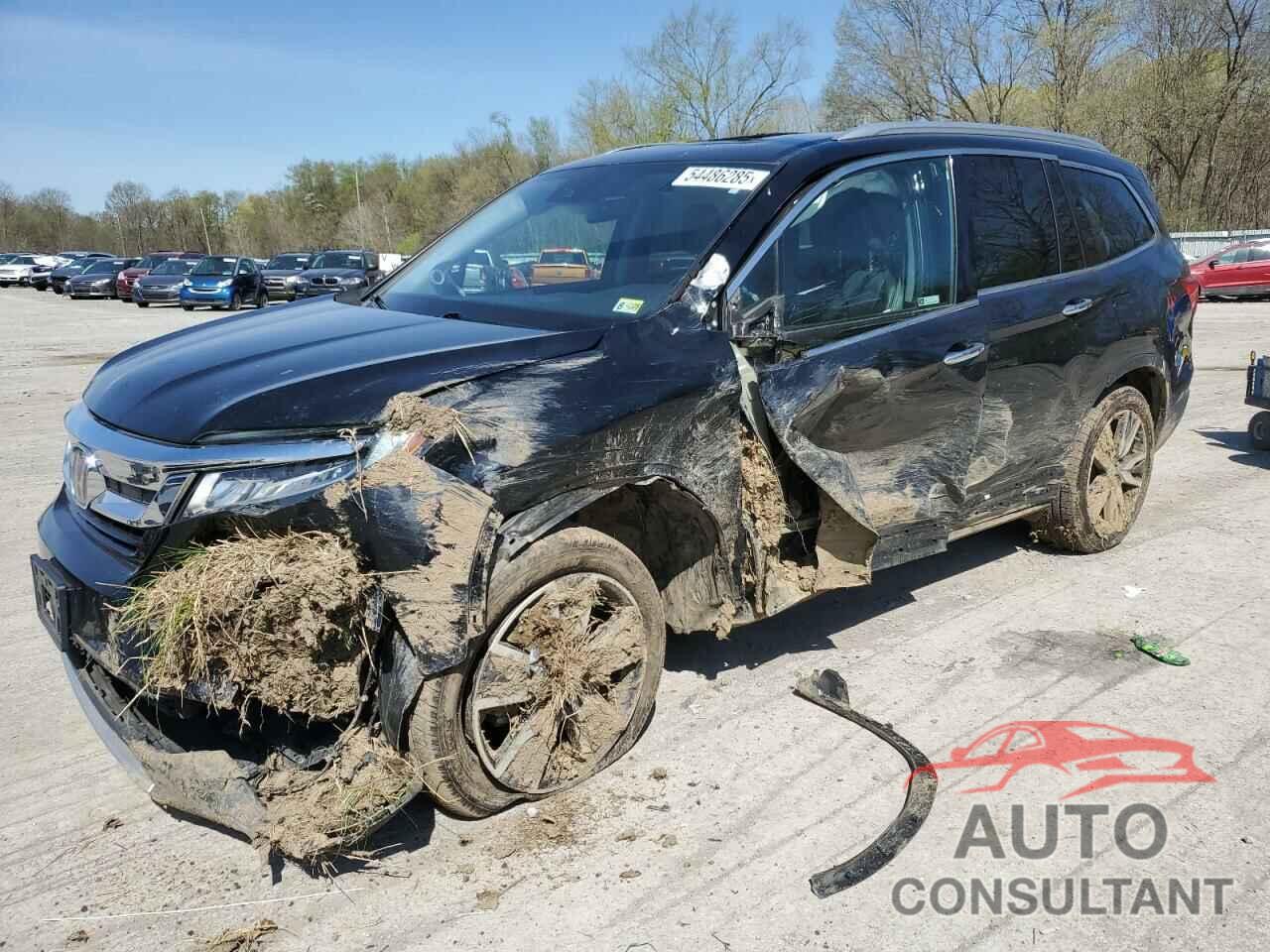 HONDA PILOT 2021 - 5FNYF6H93MB051216
