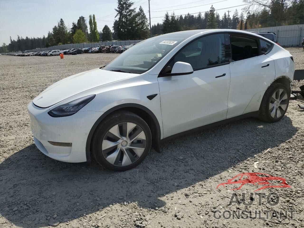 TESLA MODEL Y 2021 - 5YJYGDEE0MF301658