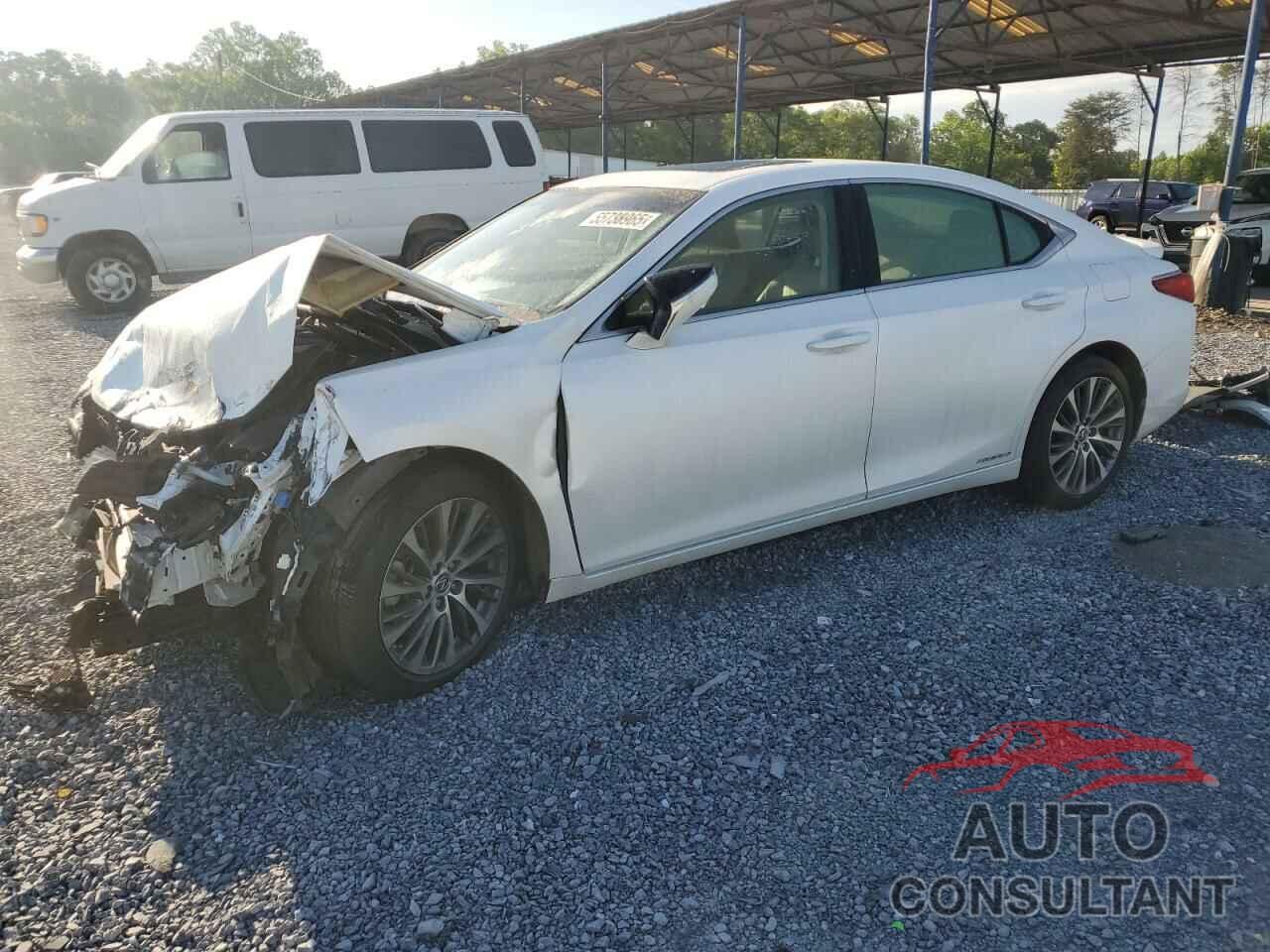 LEXUS ES300 2019 - JTHB21B11K2010377