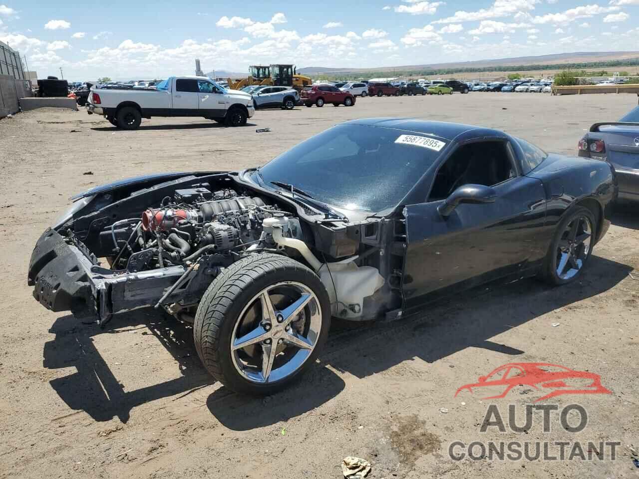 CHEVROLET CORVETTE 2009 - 1G1YY26W295110415