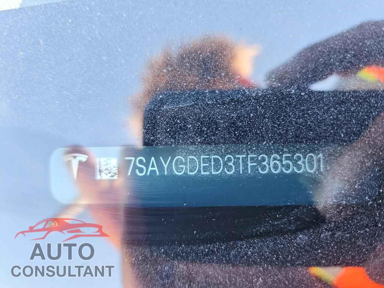 TESLA MODEL Y 2026 - 7SAYGDED3TF365301