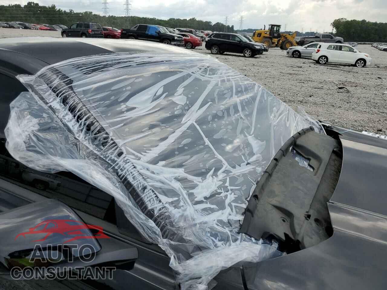 FORD MUSTANG 2017 - 1FA6P8TH0H5310658