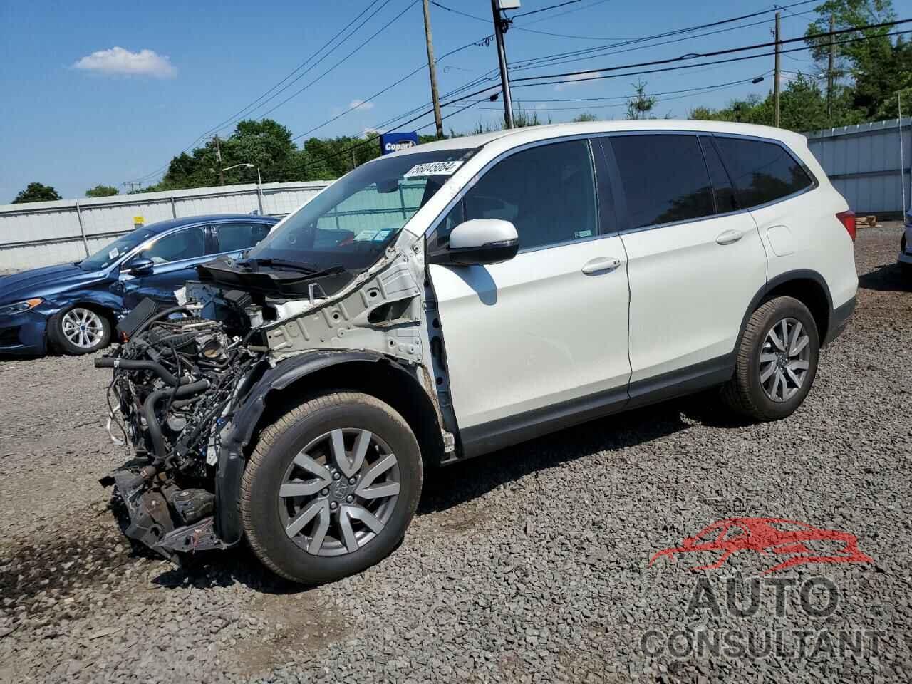 HONDA PILOT 2019 - 5FNYF6H5XKB084918