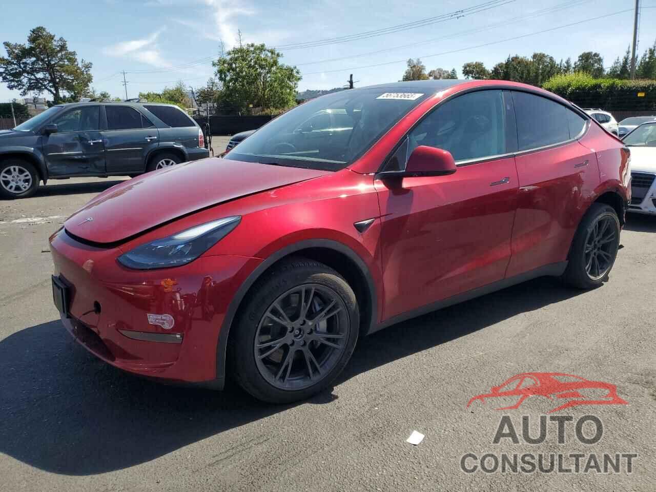 TESLA MODEL Y 2024 - 7SAYGDEE4RF156411