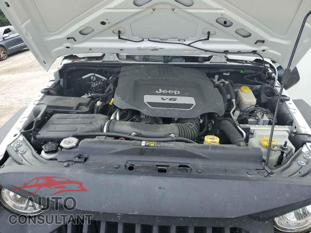 JEEP WRANGLER 2017 - 1C4AJWAG3HL594335