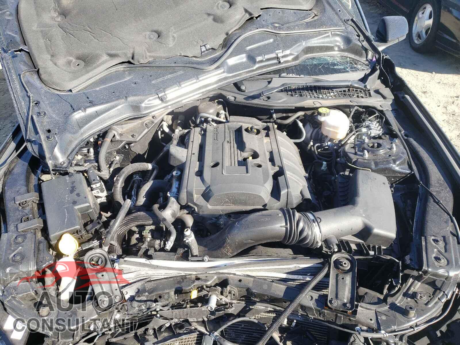 FORD MUSTANG 2019 - 1FA6P8TH1K5114591