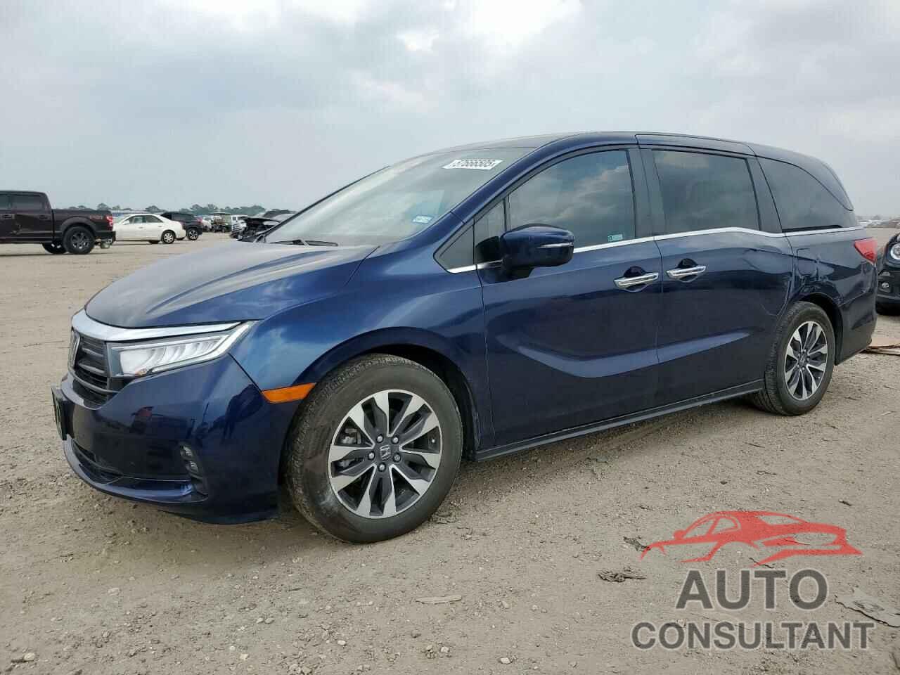 HONDA All Models 2023 - 5FNRL6H64PB079338