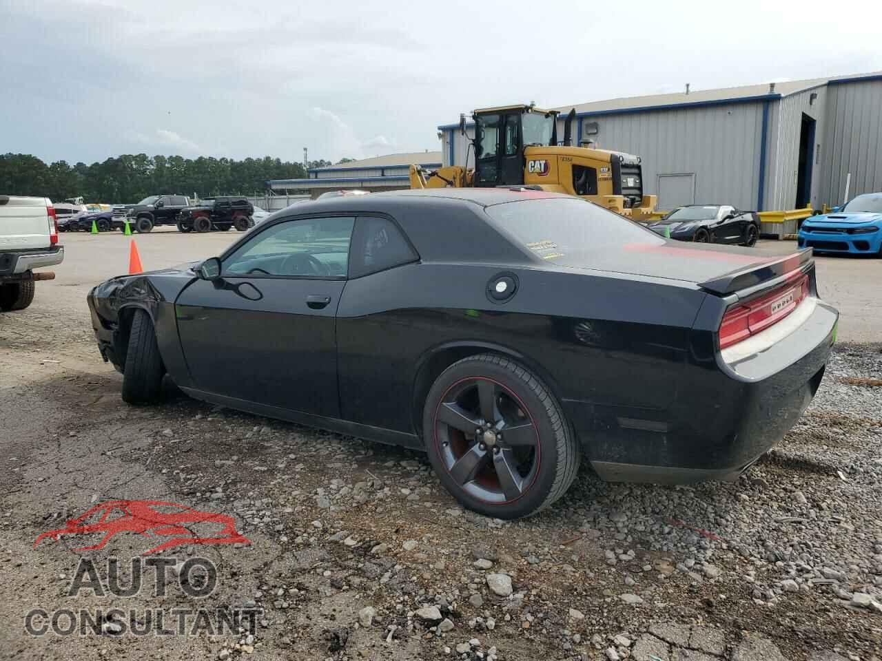 DODGE CHALLENGER 2013 - 2C3CDYAG5DH676283