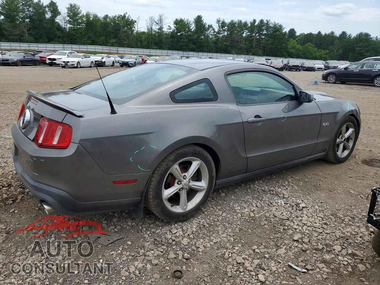 FORD MUSTANG 2011 - 1ZVBP8CF0B5127093
