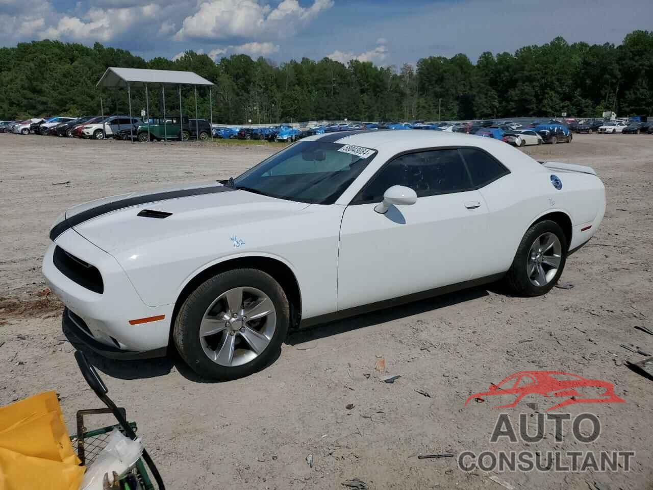 DODGE CHALLENGER 2019 - 2C3CDZAG1KH751919