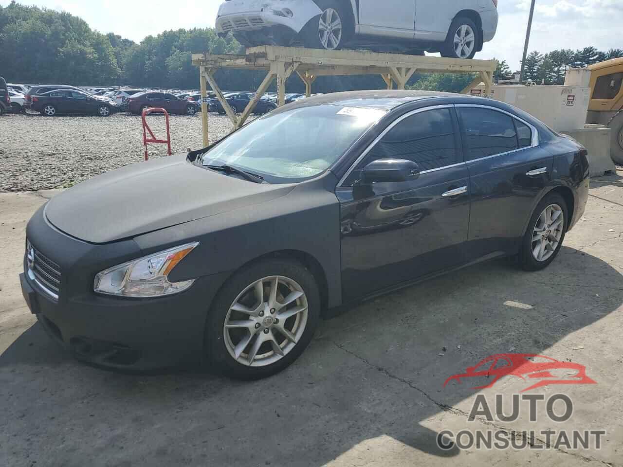 NISSAN MAXIMA 2009 - 1N4AA51E79C811515