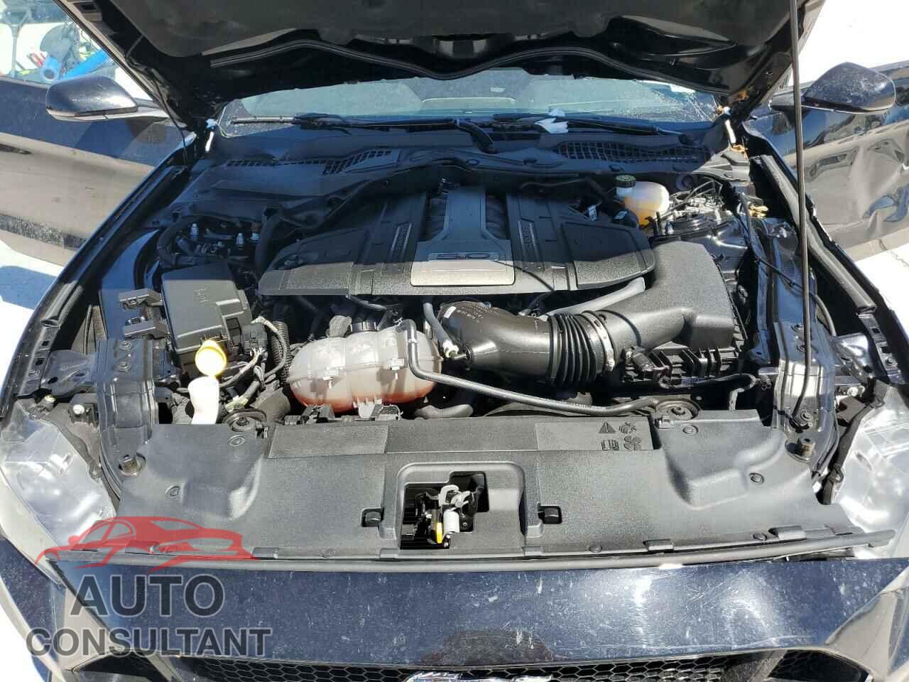 FORD MUSTANG 2019 - 1FA6P8CF7K5200115