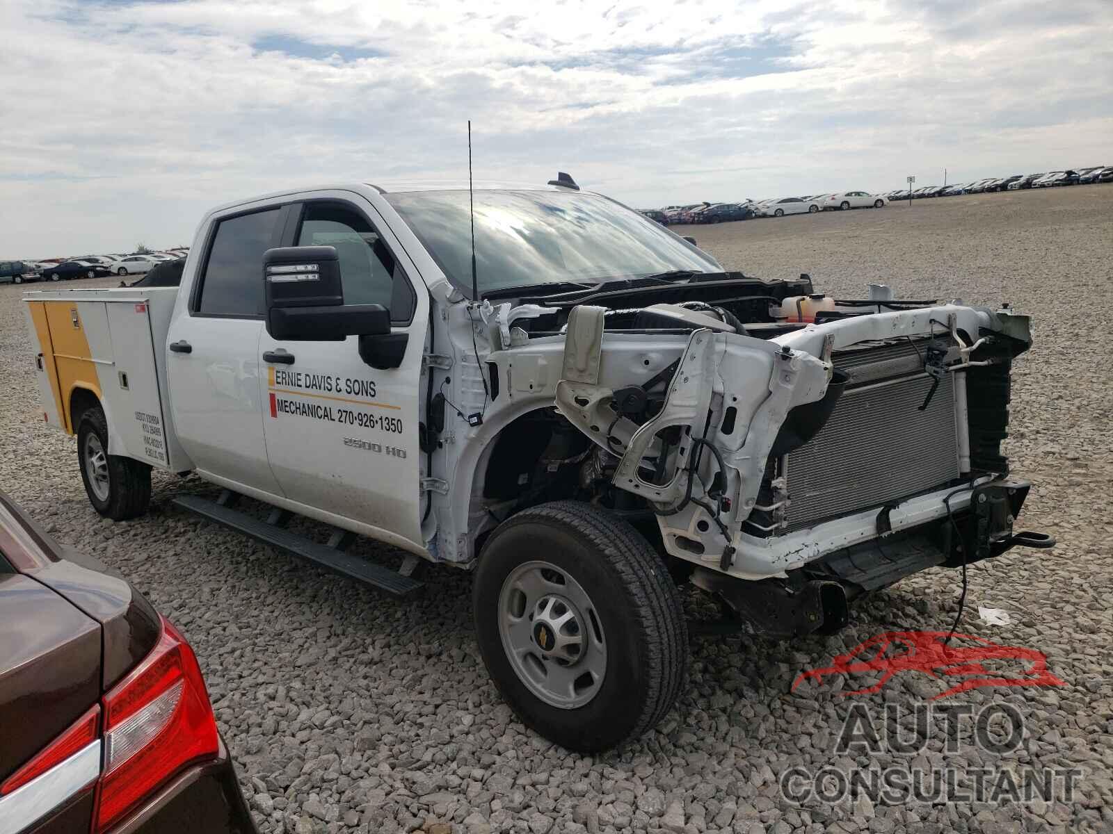 CHEVROLET SILVERADO 2020 - 1GB1WLE7XLF255707