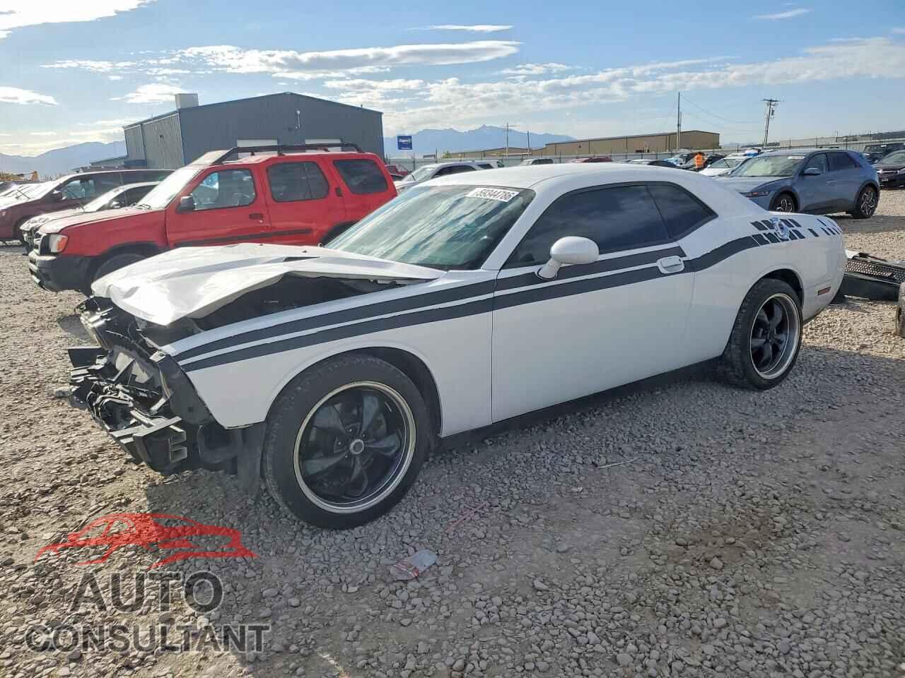 DODGE CHALLENGER 2013 - 2C3CDYAG3DH646098