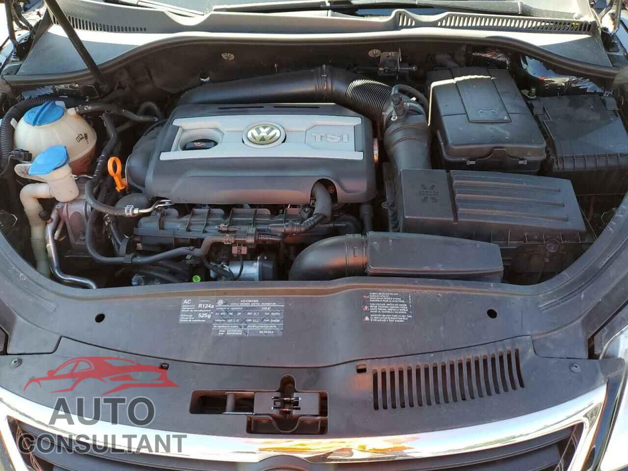 VOLKSWAGEN EOS 2009 - WVWFA71F29V003789