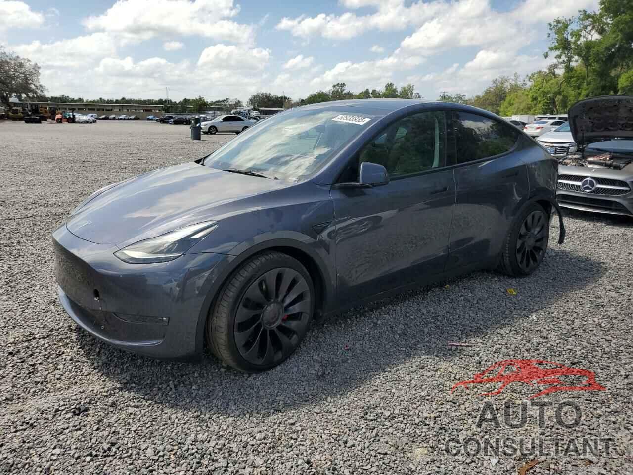 TESLA MODEL Y 2022 - 7SAYGDEF8NF538475