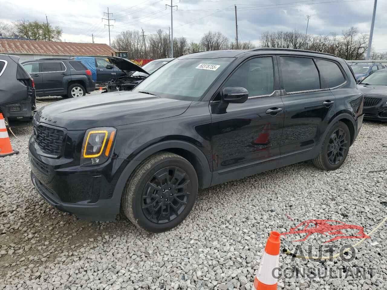 KIA TELLURIDE 2021 - 5XYP3DHC2MG192565