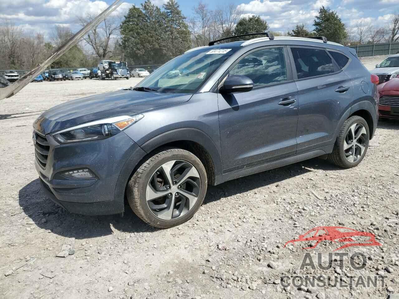 HYUNDAI TUCSON 2016 - KM8J3CA28GU226492