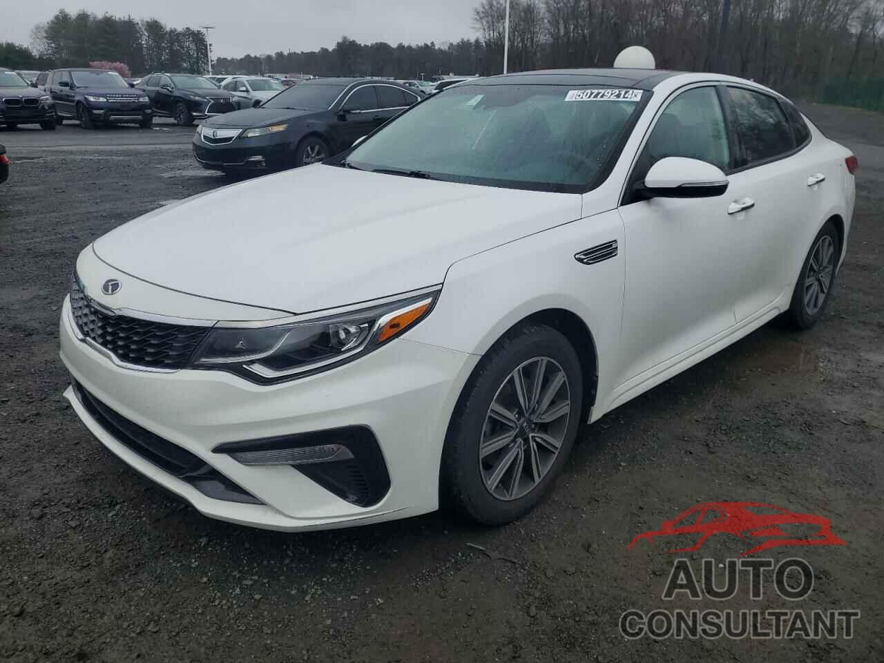 KIA OPTIMA 2019 - 5XXGT4L31KG338964