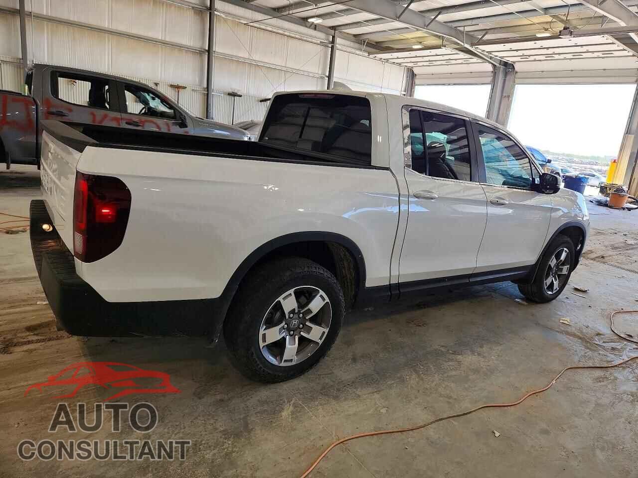 HONDA RIDGELINE 2024 - 5FPYK3F58RB005132