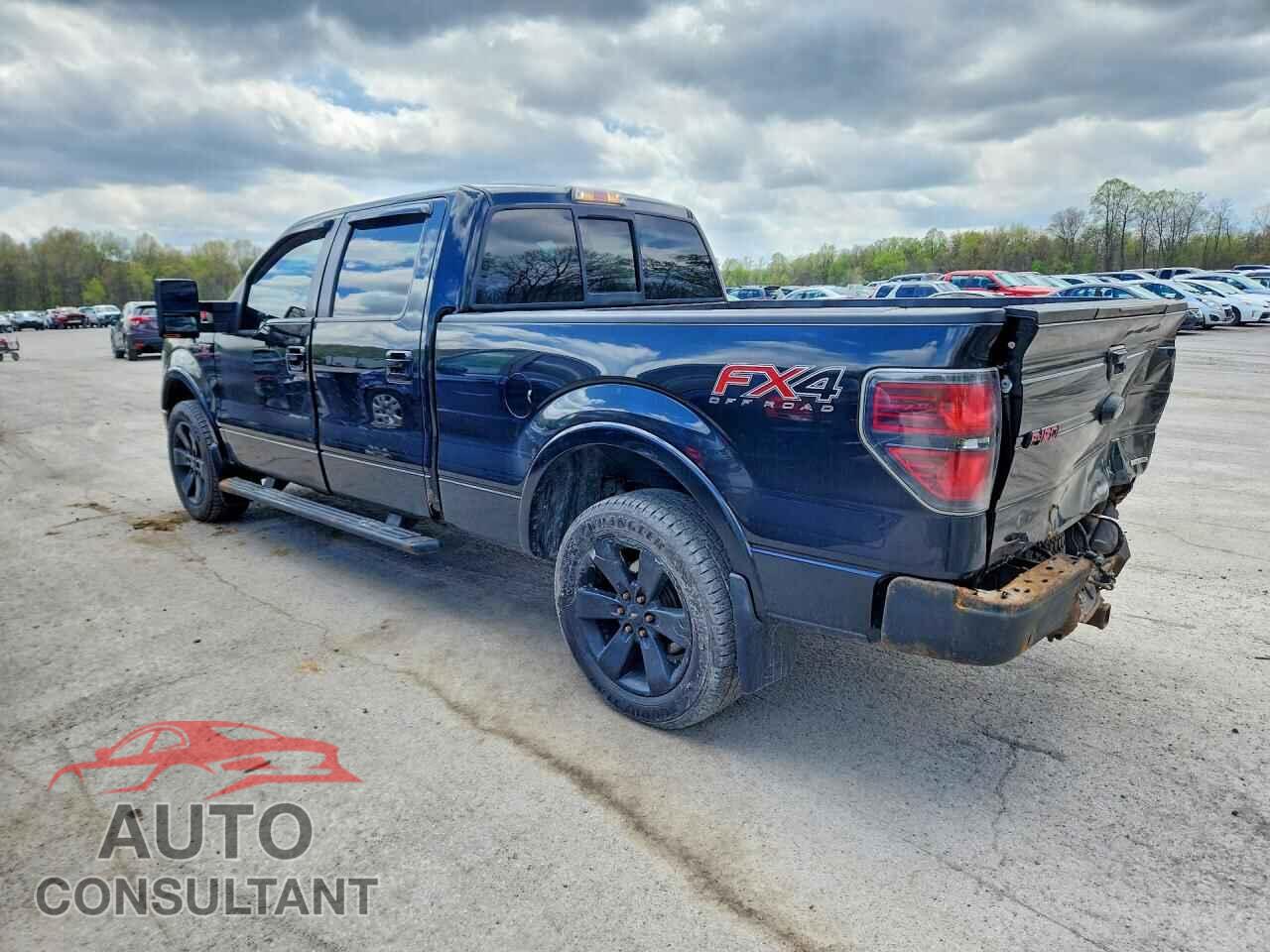 FORD F150 2013 - 1FTFW1EF4DFD50519