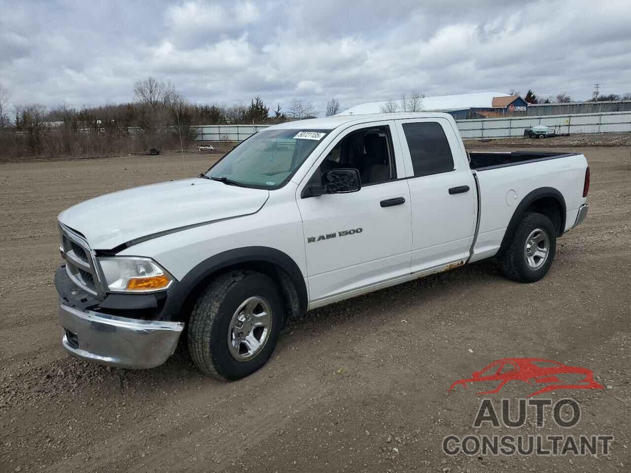 DODGE All Models 2011 - 1D7RB1GP6BS677299