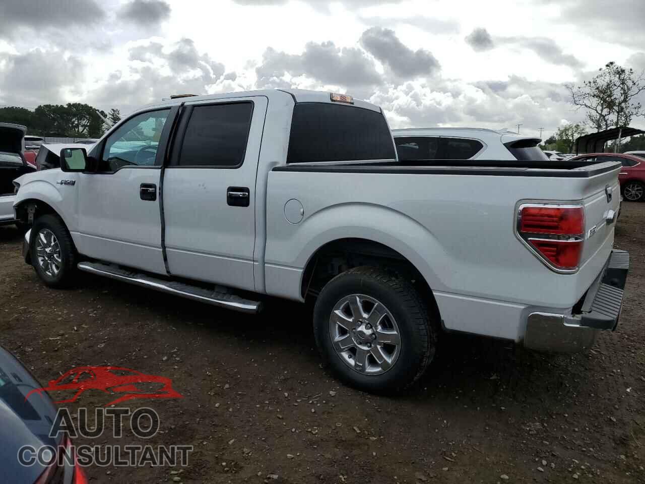 FORD F-150 2013 - 1FTFW1CF5DFD27219