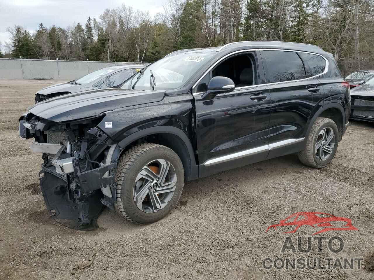 HYUNDAI SANTA FE 2022 - 5NMS3DAJ5NH463855