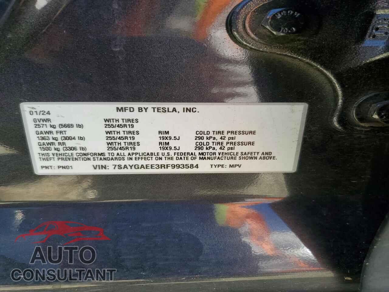 TESLA MODEL Y 2024 - 7SAYGAEE3RF993584