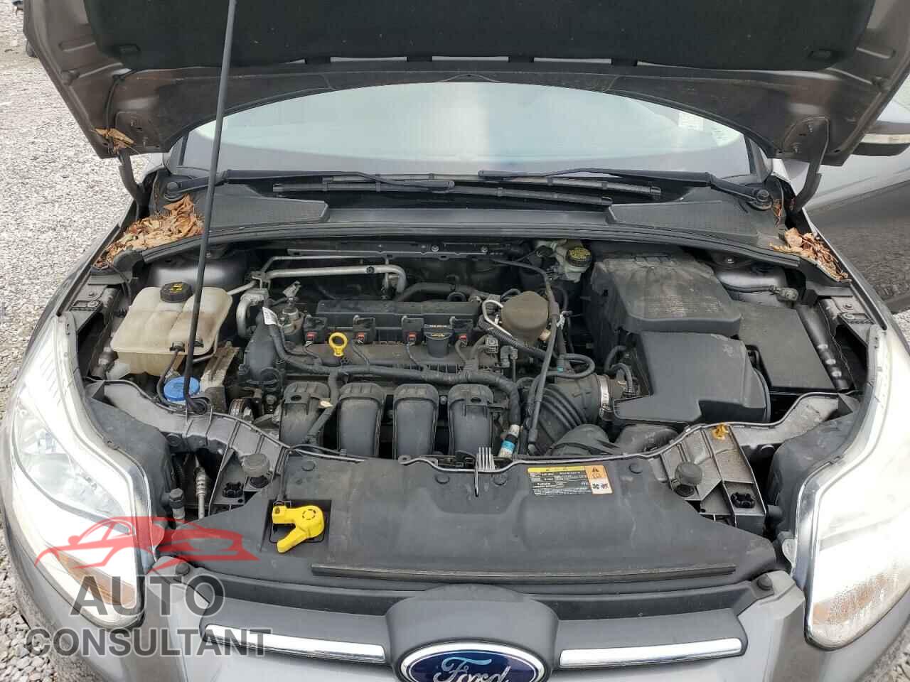 FORD FOCUS 2014 - 1FADP3F27EL193816