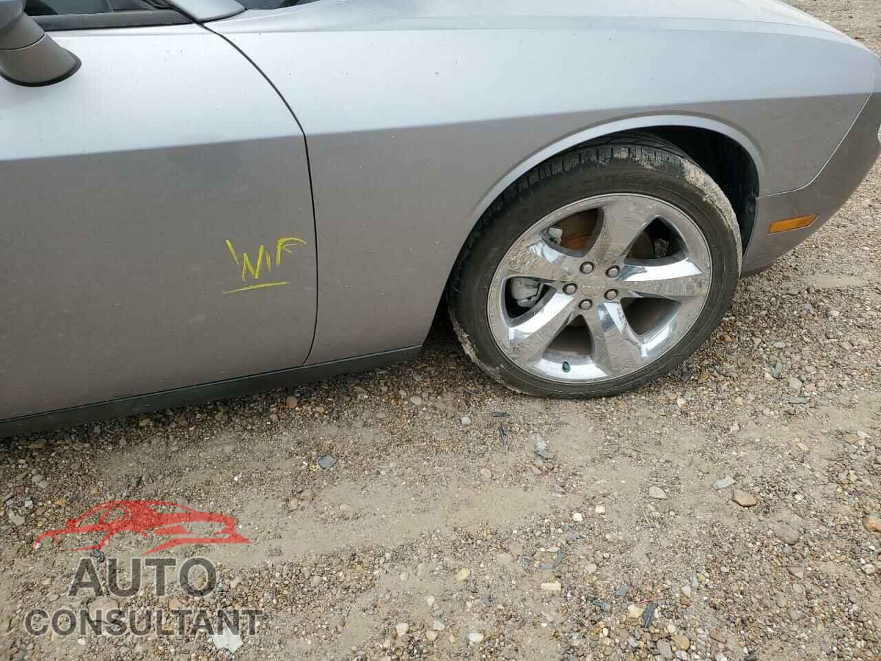 DODGE CHALLENGER 2014 - 2C3CDYAG2EH133460