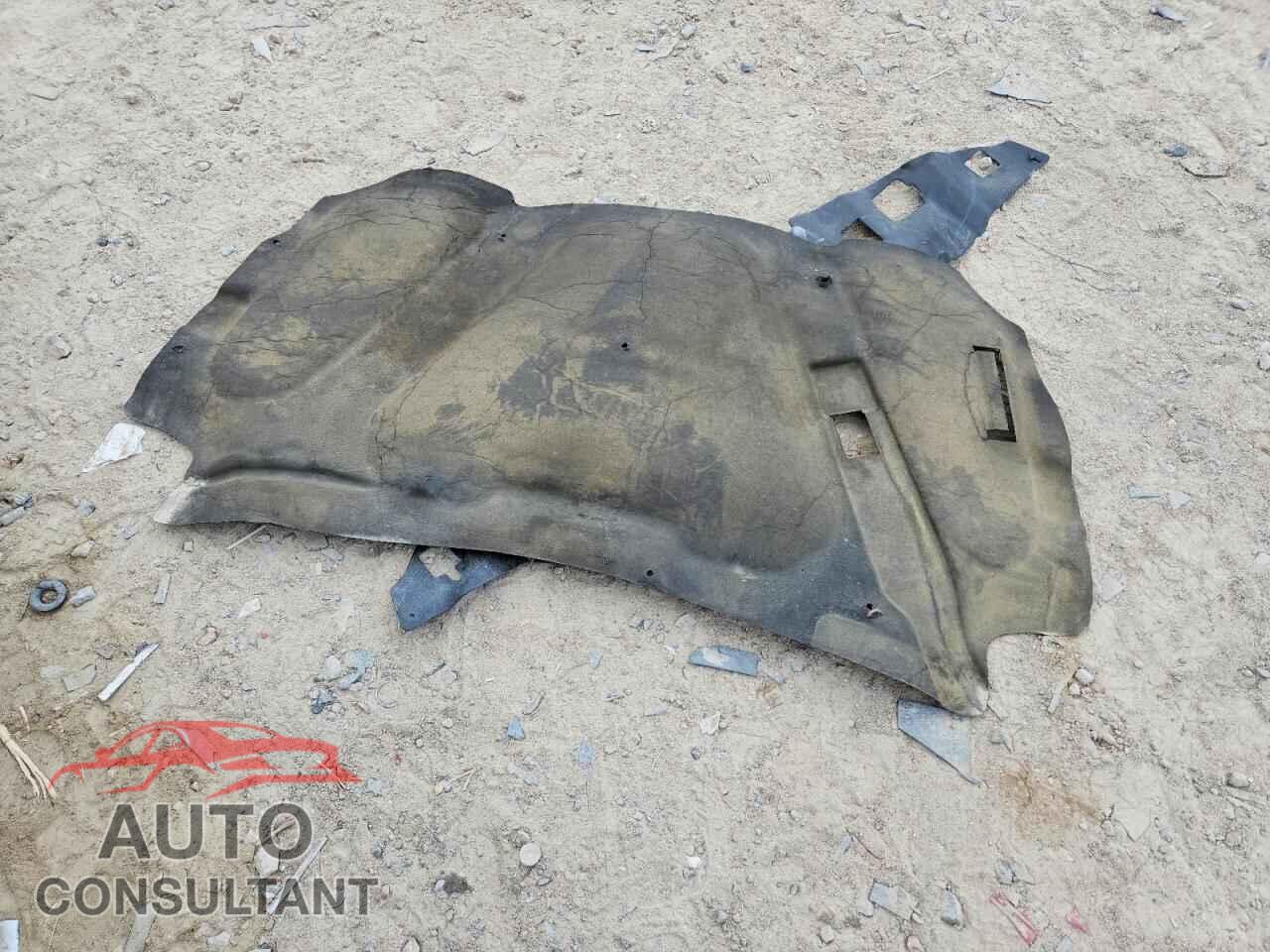 DODGE RAM 1500 2010 - 1D7RB1CT0AS250587