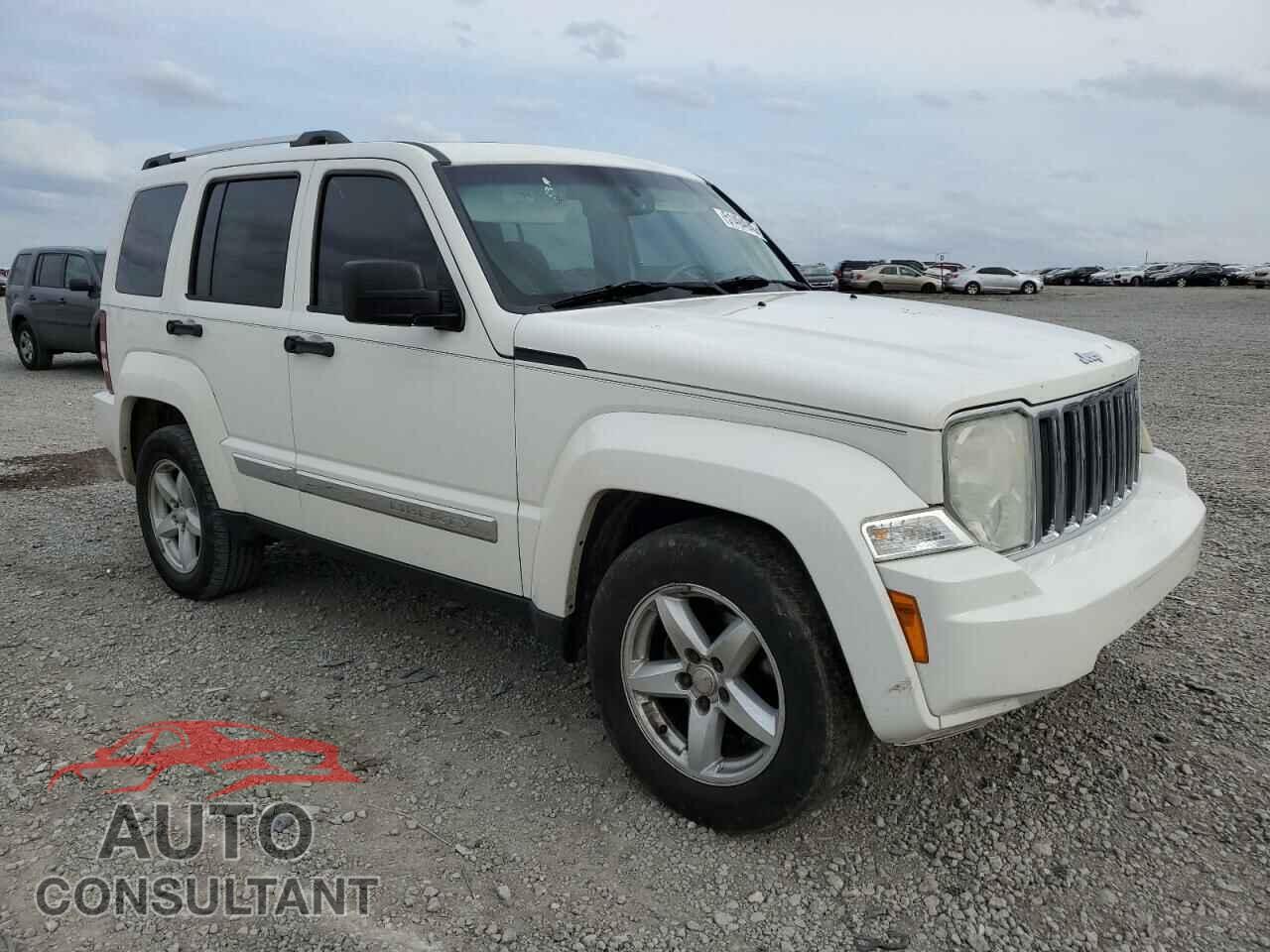 JEEP LIBERTY 2010 - 1J4PN5GK9AW151237