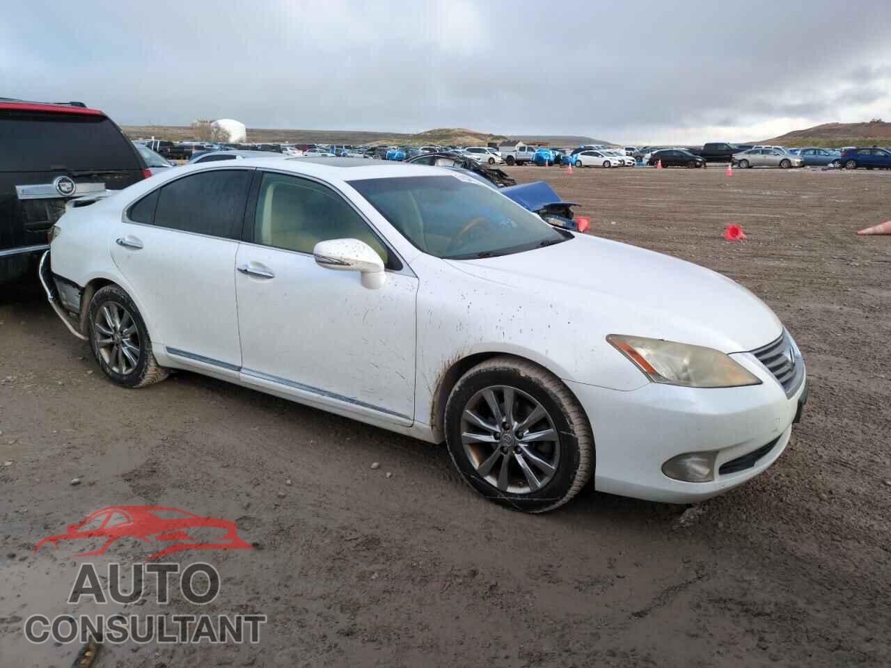 LEXUS ES350 2010 - JTHBK1EG2A2363676