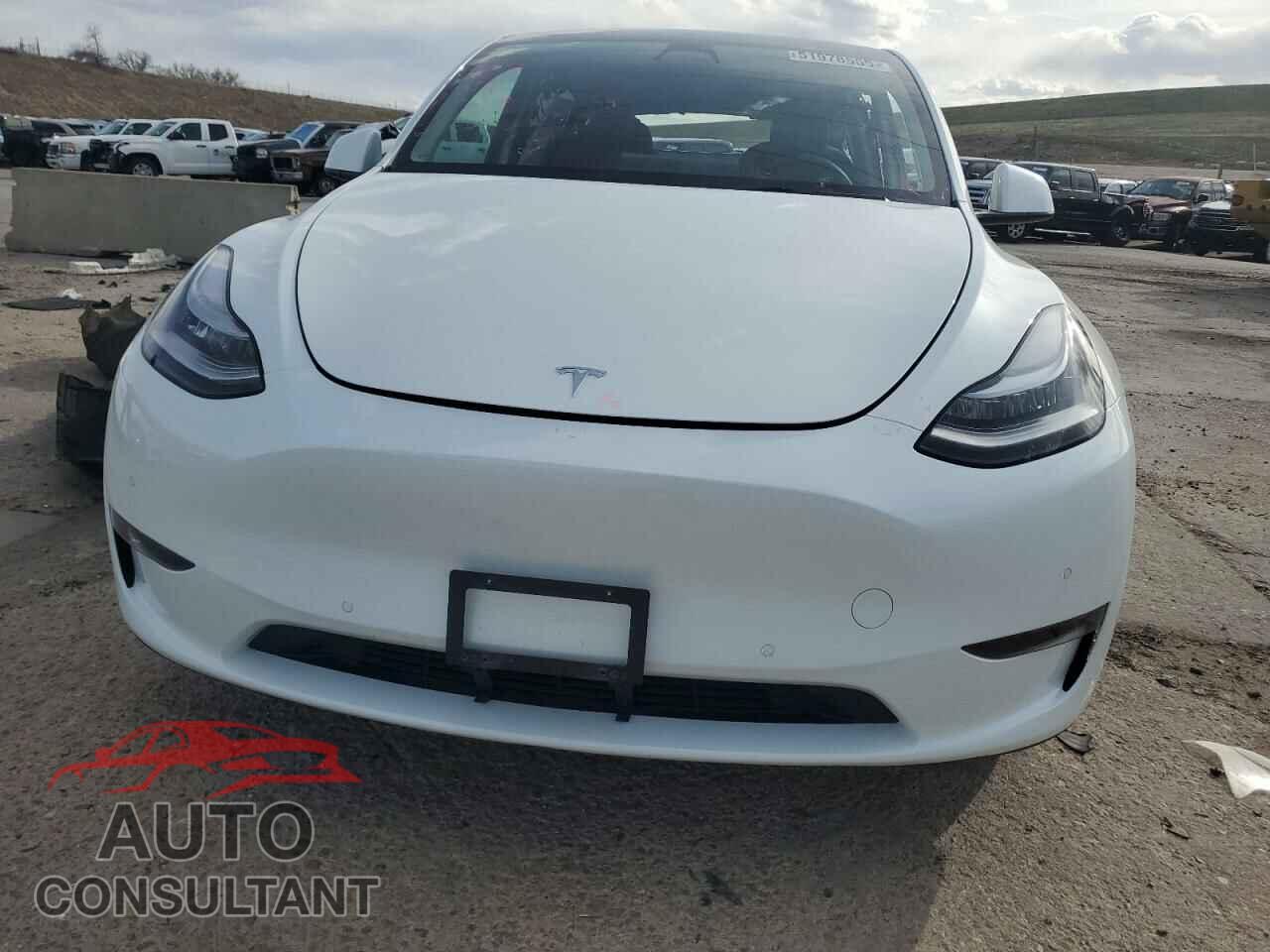 TESLA MODEL Y 2021 - 5YJYGDEEXMF299515